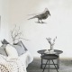 Les oiseaux en ville