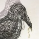 Les oiseaux en ville