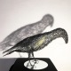 Oseau en ville, une sculpture de fil de fer